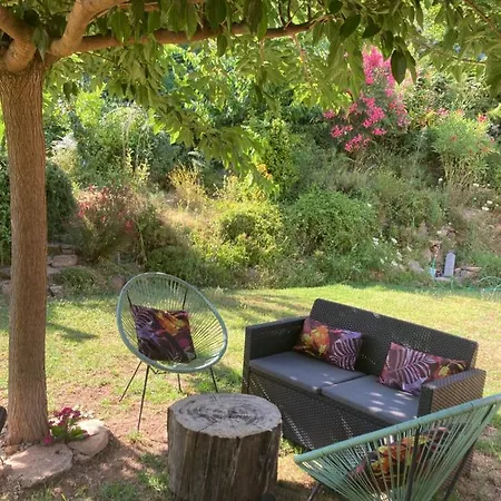 Domaine U Bugnu Bed and Breakfast Vico Buitenkant foto