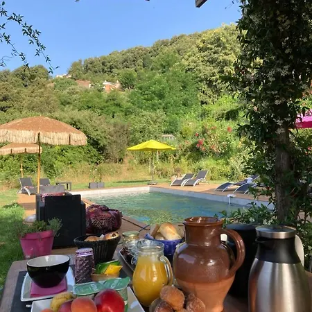 Domaine U Bugnu Bed and Breakfast Vico Buitenkant foto
