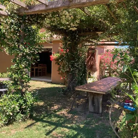 Domaine U Bugnu Bed and Breakfast Vico Buitenkant foto