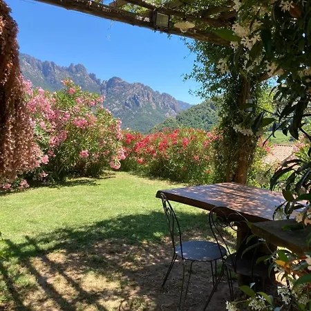 Domaine U Bugnu Bed and Breakfast Vico Buitenkant foto