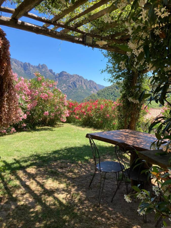 Domaine U Bugnu Bed & Breakfast *