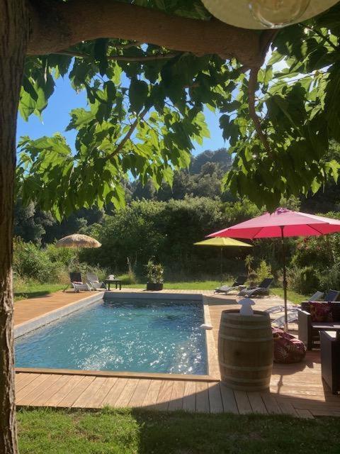 Bed & Breakfast Domaine U Bugnu