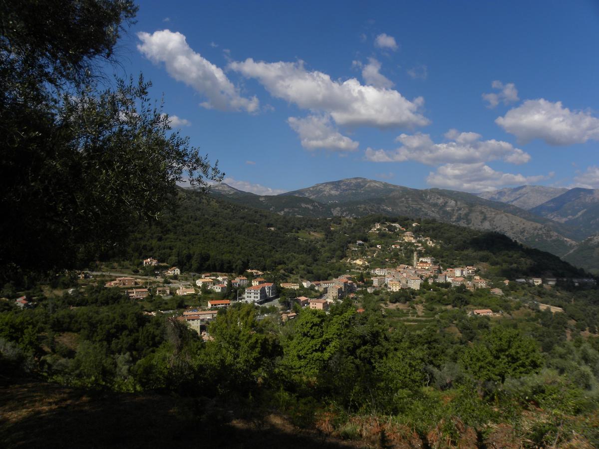 Bed & Breakfast Domaine U Bugnu